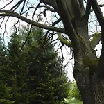 Apartmán Hollerhof - Urwuechsiges Paradies - Kreativurlaub