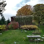 Hollerhof - Urwuechsiges Paradies - Kreativurlaub Friedrichswalde