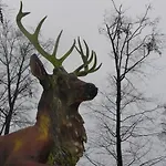Hollerhof - Urwuechsiges Paradies - Kreativurlaub