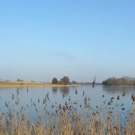 Lägenhet Hollerhof - Urwuechsiges Paradies - Kreativurlaub Friedrichswalde