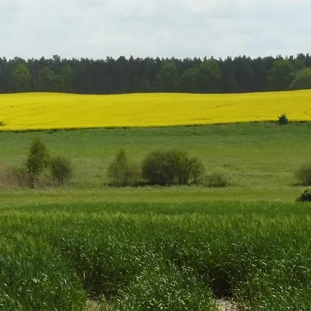Hollerhof - Urwuechsiges Paradies - Kreativurlaub Friedrichswalde
