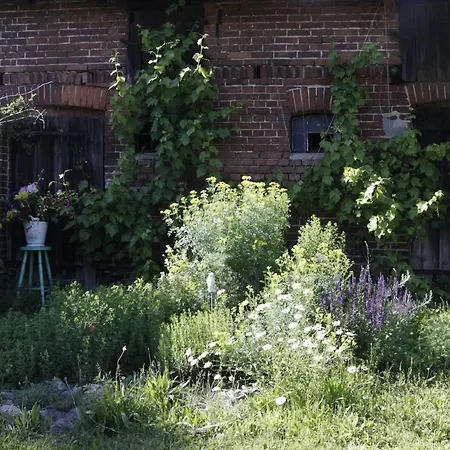 Hollerhof - Urwuechsiges Paradies - Kreativurlaub