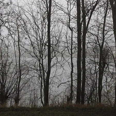 Lägenhet Hollerhof - Urwuechsiges Paradies - Kreativurlaub Friedrichswalde