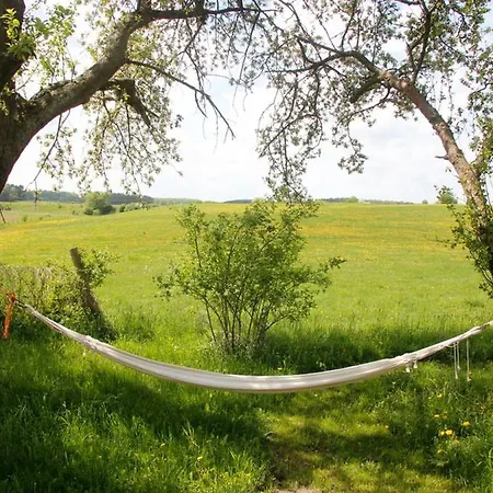 Hollerhof - Urwuechsiges Paradies - Kreativurlaub Friedrichswalde