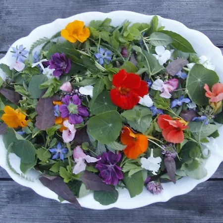 Lägenhet Hollerhof - Urwuechsiges Paradies - Kreativurlaub