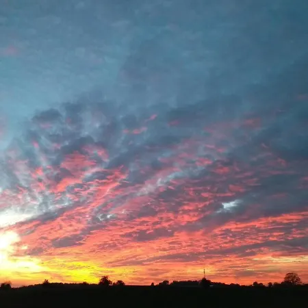 Lägenhet Hollerhof - Urwuechsiges Paradies - Kreativurlaub Friedrichswalde
