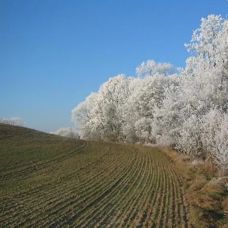 Hollerhof - Urwuechsiges Paradies - Kreativurlaub Lägenhet *