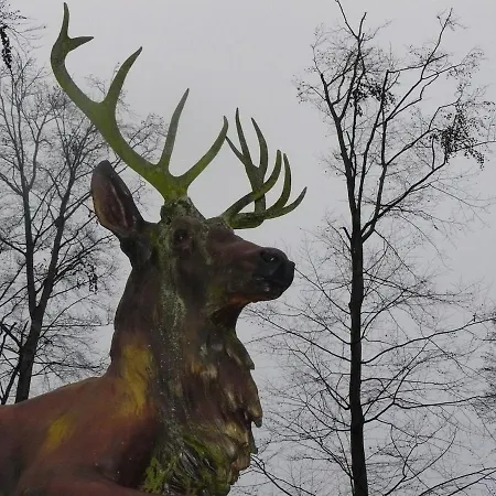 Hollerhof - Urwuechsiges Paradies - Kreativurlaub