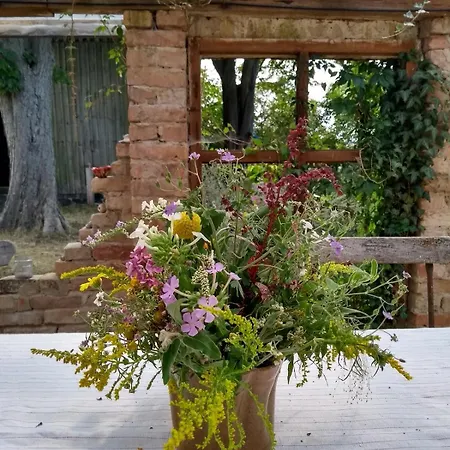 Apartmán Hollerhof - Urwuechsiges Paradies - Kreativurlaub Friedrichswalde