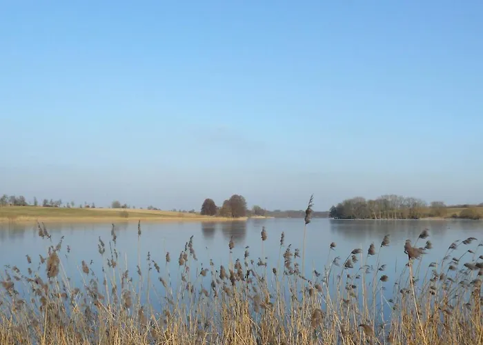 Apartmán Hollerhof - Urwuechsiges Paradies - Kreativurlaub Friedrichswalde