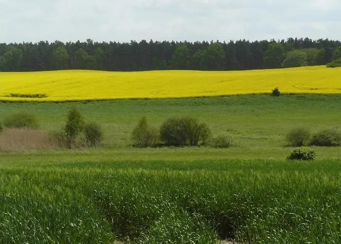 Hollerhof - Urwuechsiges Paradies - Kreativurlaub Friedrichswalde