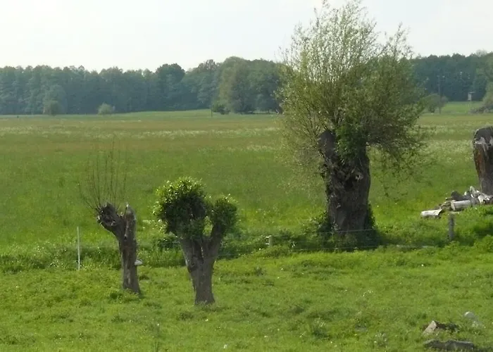 Hollerhof - Urwuechsiges Paradies - Kreativurlaub Apartmán Friedrichswalde