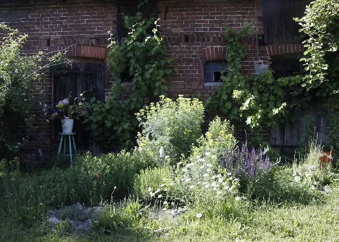 Hollerhof - Urwuechsiges Paradies - Kreativurlaub