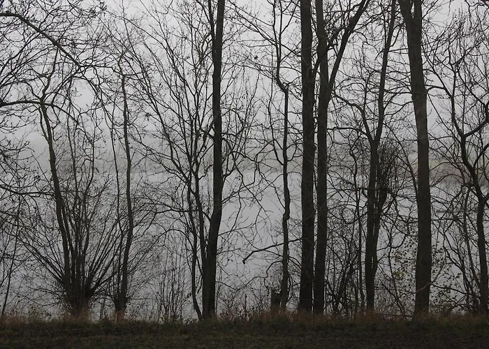 Apartmán Hollerhof - Urwuechsiges Paradies - Kreativurlaub Friedrichswalde