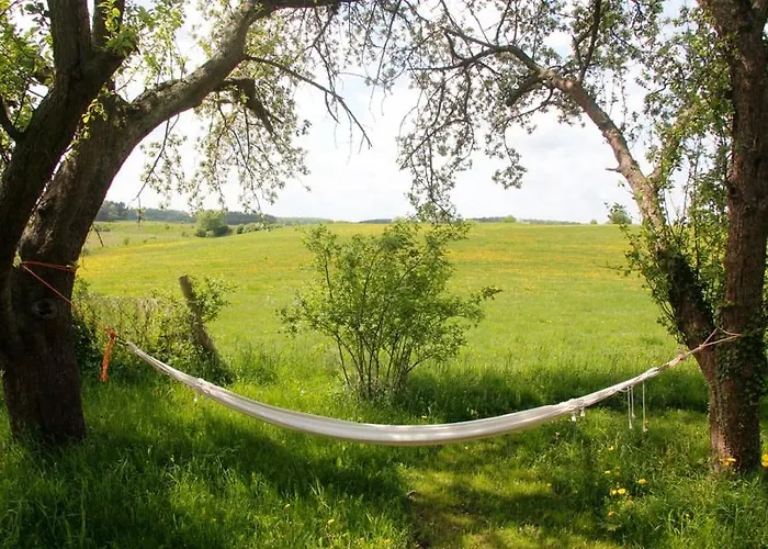 Hollerhof - Urwuechsiges Paradies - Kreativurlaub Friedrichswalde