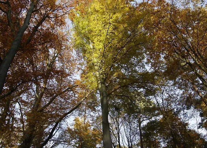 Apartmán Hollerhof - Urwuechsiges Paradies - Kreativurlaub Friedrichswalde