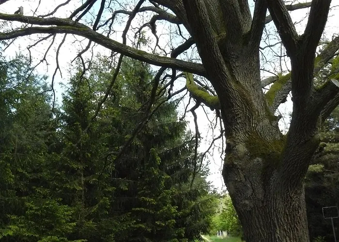 Apartmán Hollerhof - Urwuechsiges Paradies - Kreativurlaub