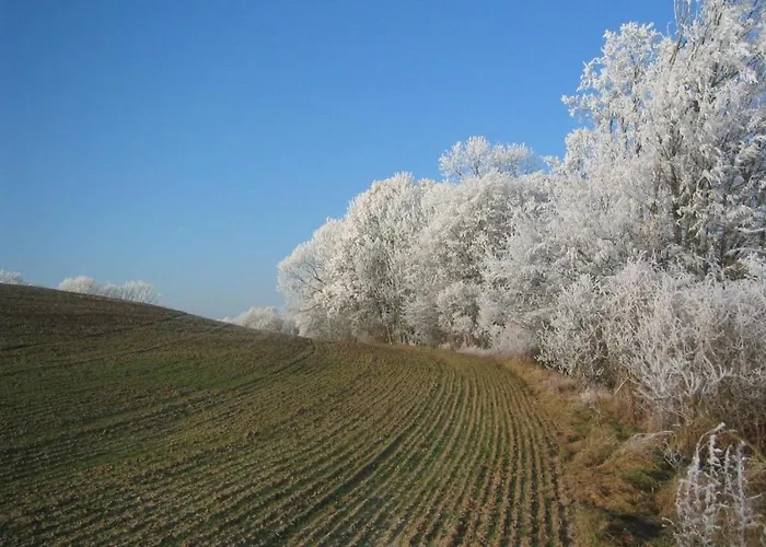 Hollerhof - Urwuechsiges Paradies - Kreativurlaub Apartmán *