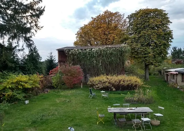 Hollerhof - Urwuechsiges Paradies - Kreativurlaub Friedrichswalde