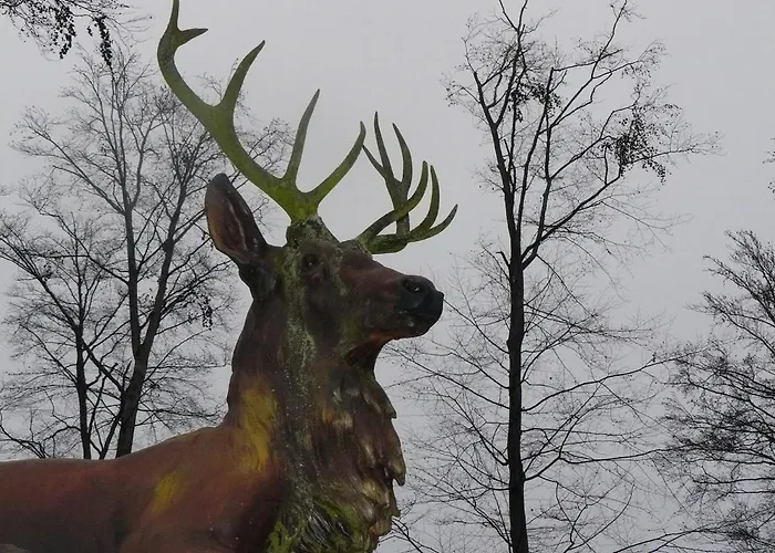 Hollerhof - Urwuechsiges Paradies - Kreativurlaub